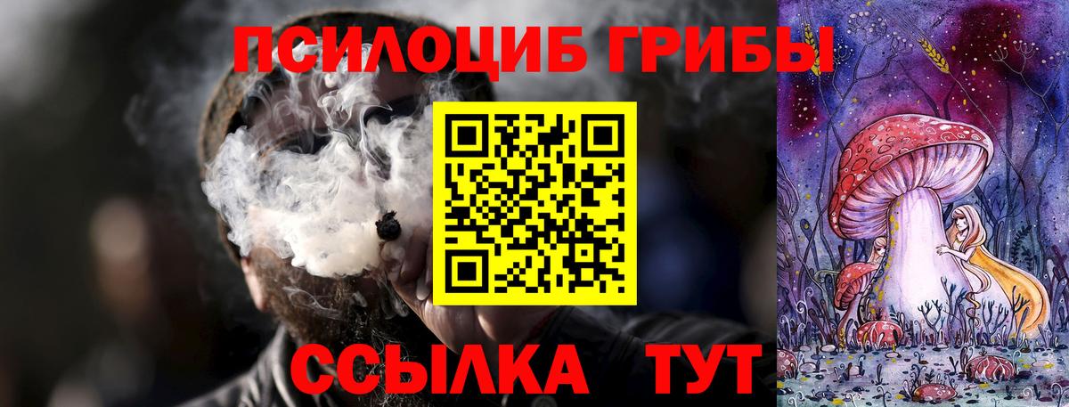 Галлюциногенные грибы GOLDEN TEACHER  Вход с VPN  Щёлково 